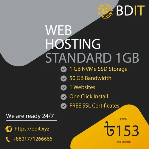 Web Hosting Standard 1GB