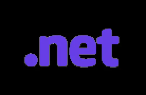 Domain .net Year-01